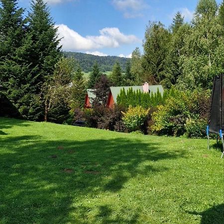 Domki Pod Kiczera W Baligrodzie, Bieszczady エクステリア 写真